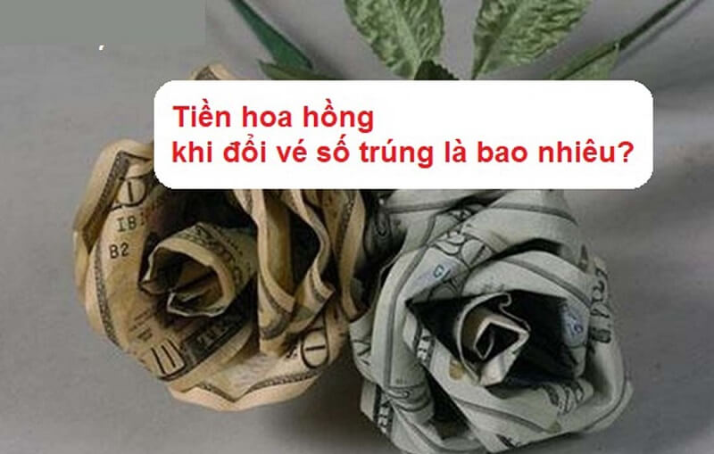 Đổi vé trúng thưởng xổ số Bến Tre ở đâu? Quy định ra sao?