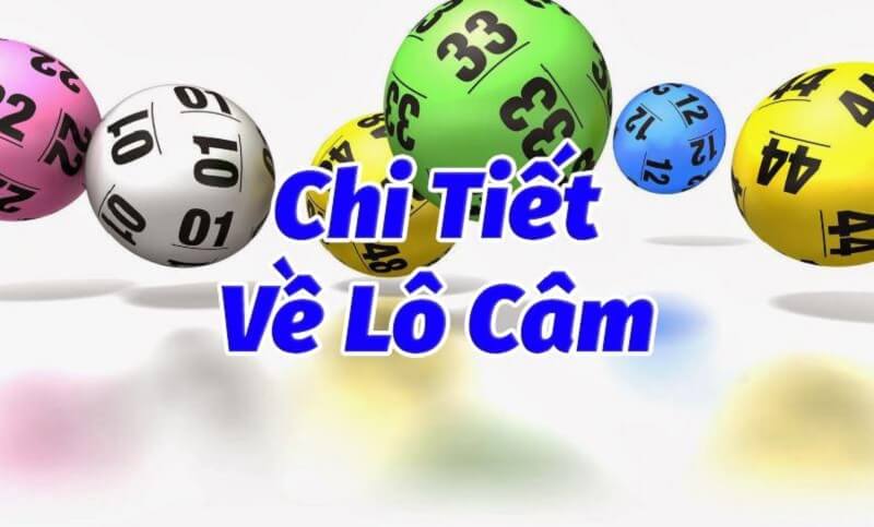 Lô câm Bến Tre – Thống kê đầu đuôi câm XSBTR chuẩn xác nhất