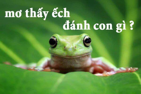 Nằm mơ thấy ếch đánh con gì, số mấy mang lại tài lộc
