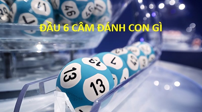 Đầu 6 câm hôm sau đánh con gì chuẩn xác như cao thủ lâu lăm