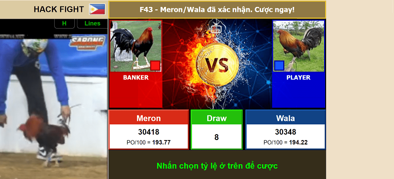 Cách chơi đá gà QH88