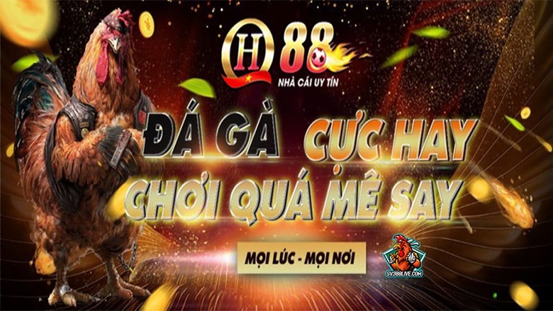 Đá gà QH88 là gì?