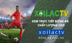 Xoilac TV tường thuật trực tiếp bóng đá chất lượng cao