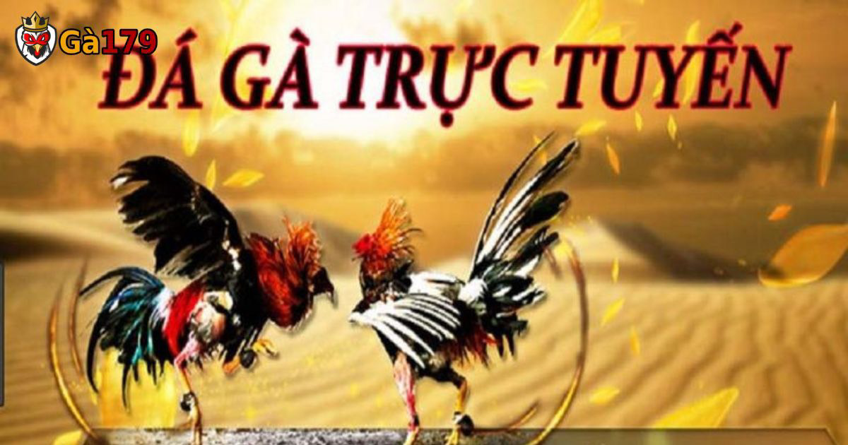 Theo dõi các trận đấu diễn ra trên Ga179